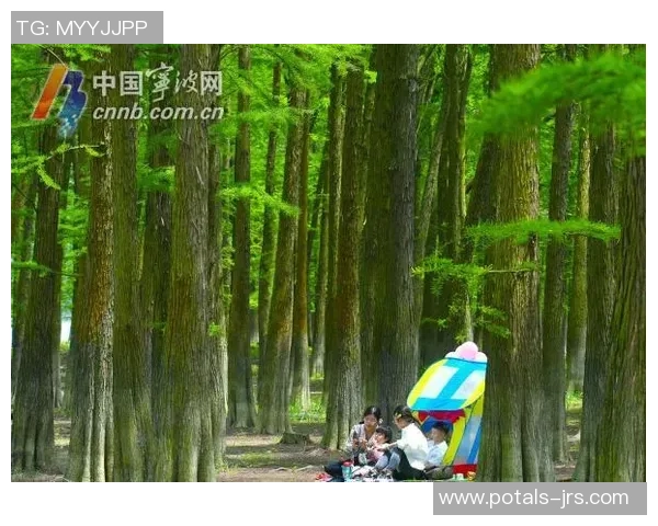 岗山绿与大宫松鼠的精彩对决谁将赢得这场绿意盎然的较量